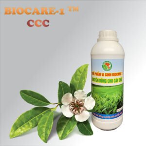 BIOCARE-1 (CCC) cho cây Chè