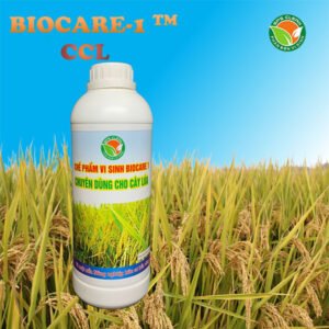BIOCARE-1 (CCL) cho Lúa
