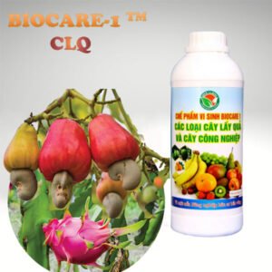 BIOCARE-1 (CLQ) cho Thanh Long, Điều