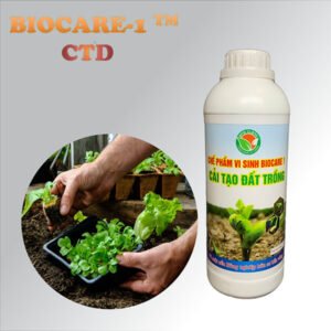 BIOCARE-1 (CTD) cho Cải tạo Đất