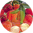 Vải Thiều – Việt Nam